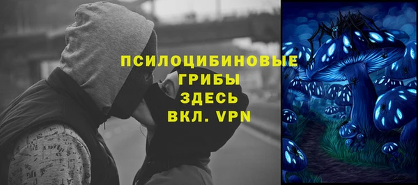 PSILOCYBIN Щучье