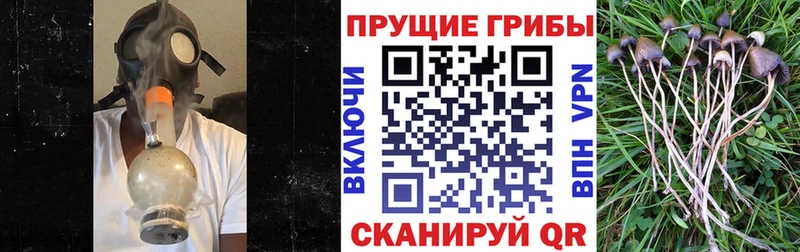 Псилоцибиновые грибы прущие грибы Электросталь